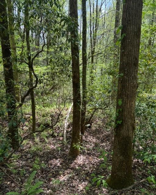 348 Hemlock Trail Property Photo 22