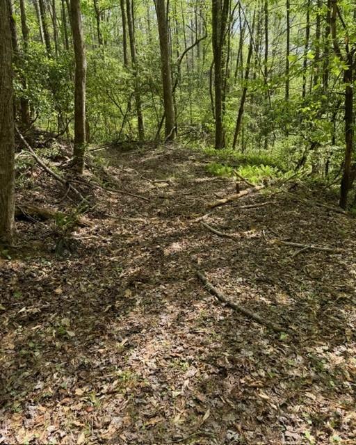 348 Hemlock Trail Property Photo 23