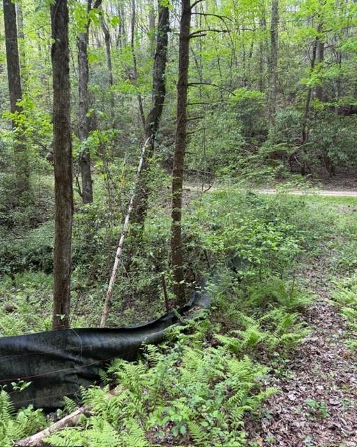 348 Hemlock Trail Property Photo 25