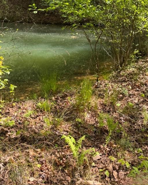 348 Hemlock Trail Property Photo 26