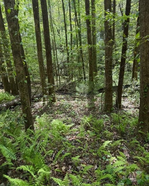 348 Hemlock Trail Property Photo 28