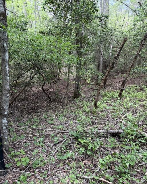 348 Hemlock Trail Property Photo 31