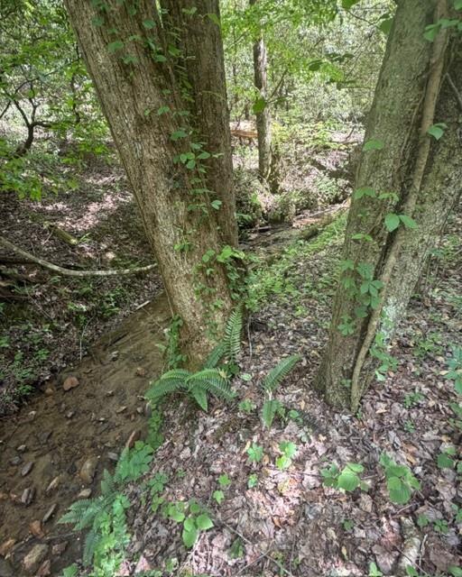 348 Hemlock Trail Property Photo 32