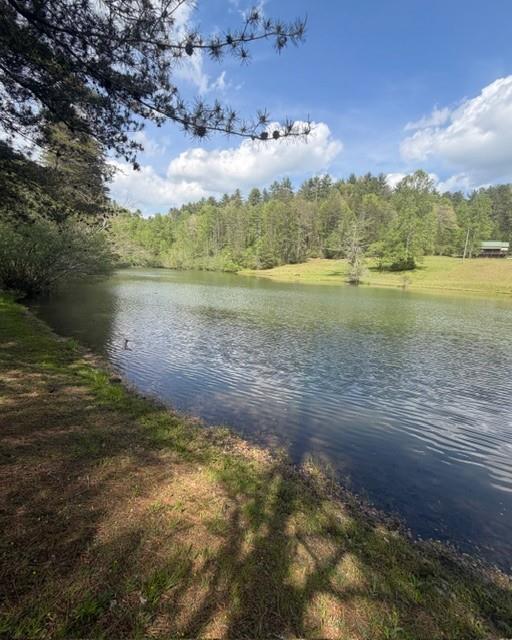 348 Hemlock Trail Property Photo 36