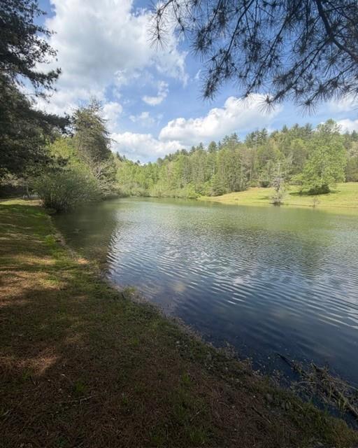 348 Hemlock Trail Property Photo 37