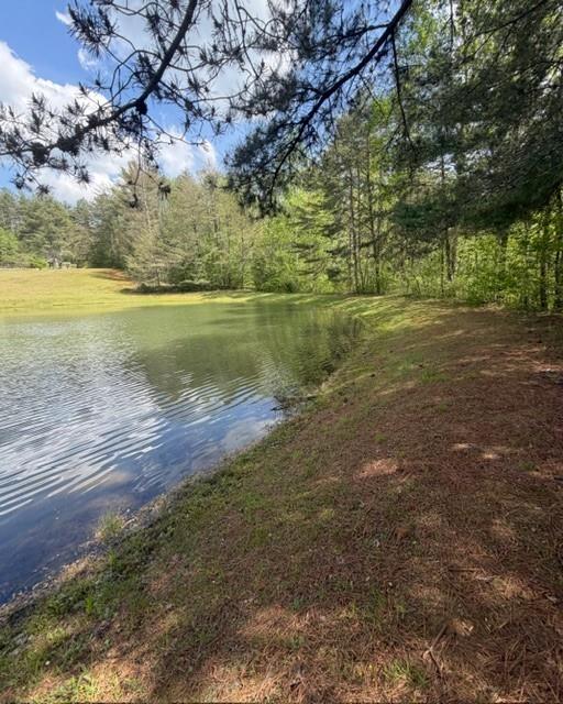 348 Hemlock Trail Property Photo 38