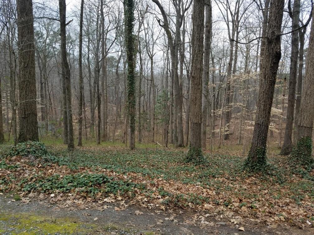4633 Post Oak Tritt Road Property Photo 1
