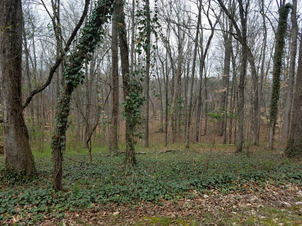 4633 Post Oak Tritt Road Property Photo 3