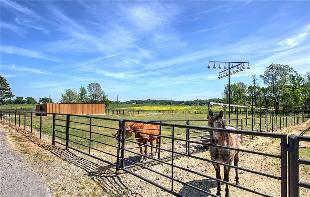 486 County Line Road Property Photo 3