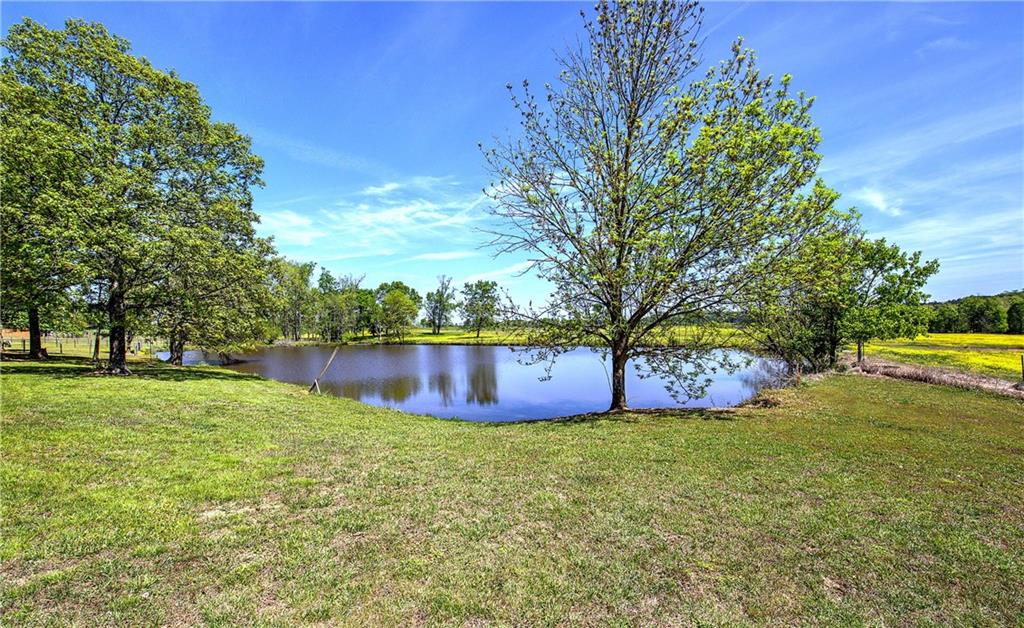 486 County Line Road Property Photo 8