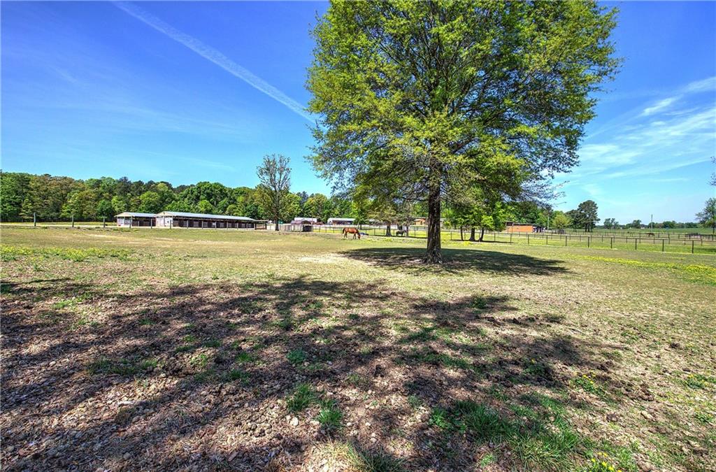 486 County Line Road Property Photo 24