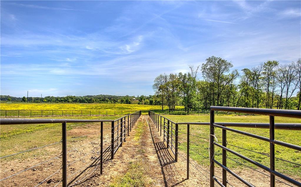 486 County Line Road Property Photo 39