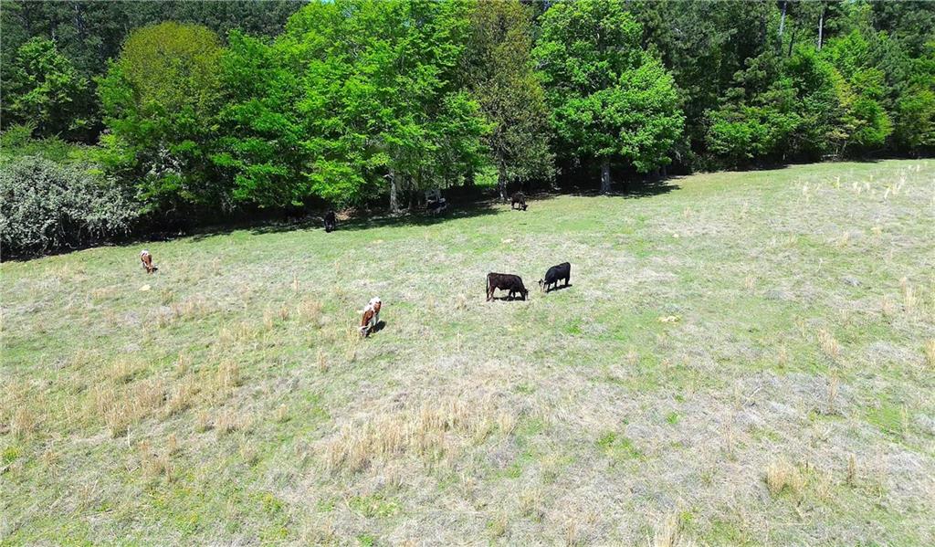 486 County Line Road Property Photo 44