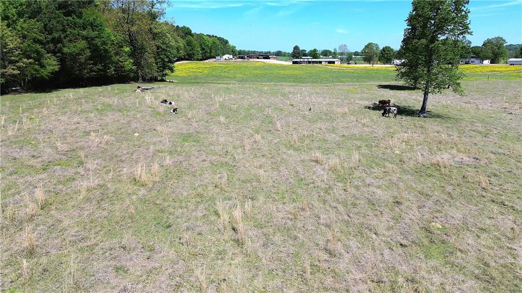 486 County Line Road Property Photo 45
