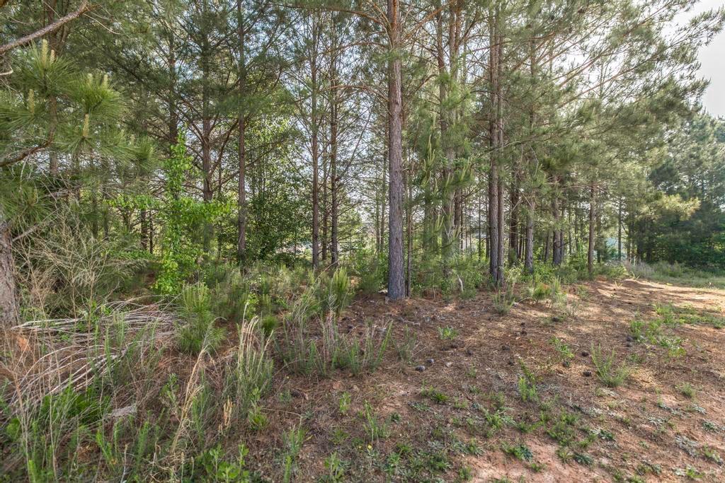 102 Clarks Court Property Photo 37