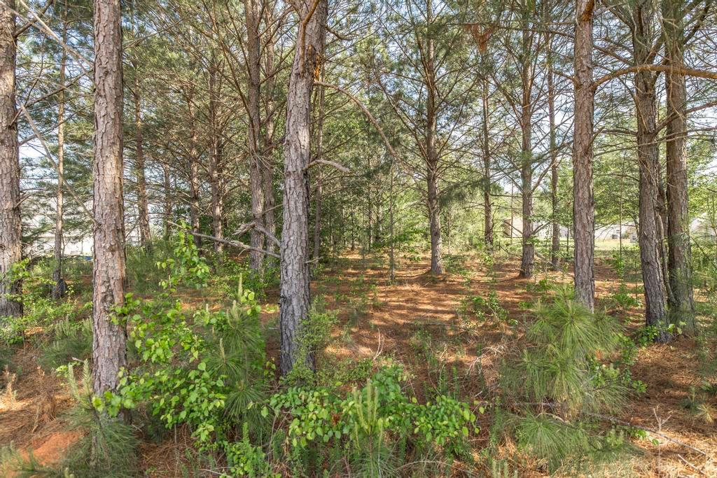 102 Clarks Court Property Photo 38