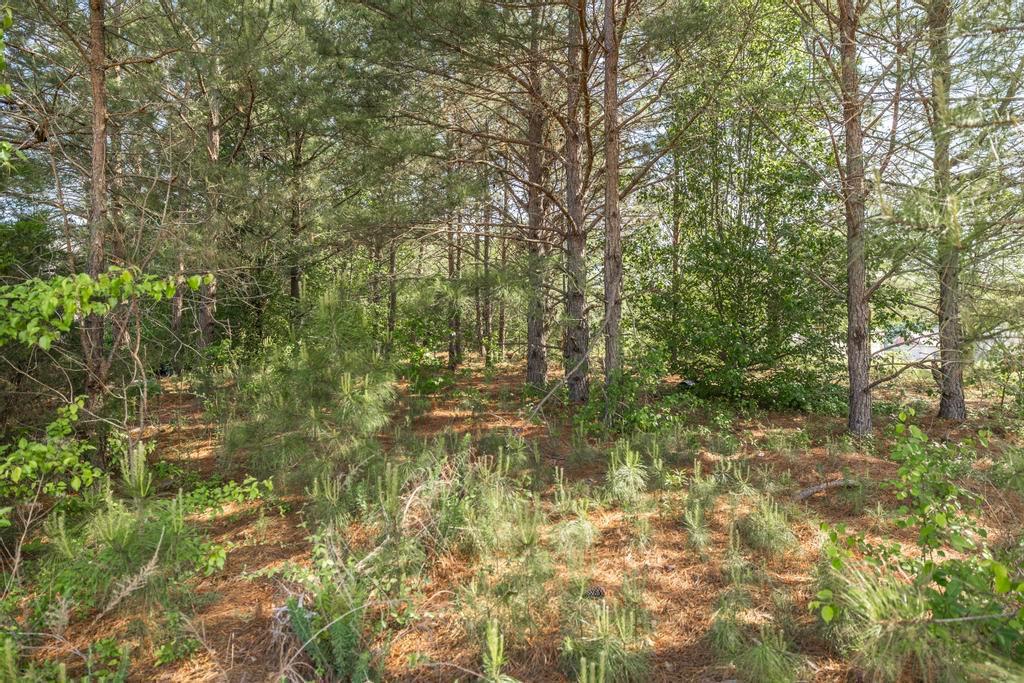 102 Clarks Court Property Photo 39