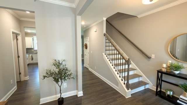 832 Brown Thrasher Way Property Photo 17