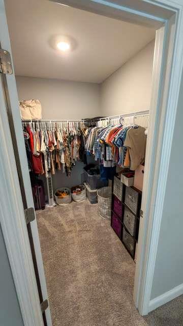 832 Brown Thrasher Way Property Photo 24