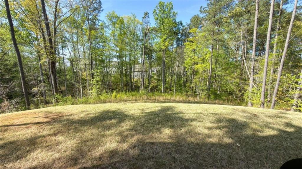 832 Brown Thrasher Way Property Photo 37