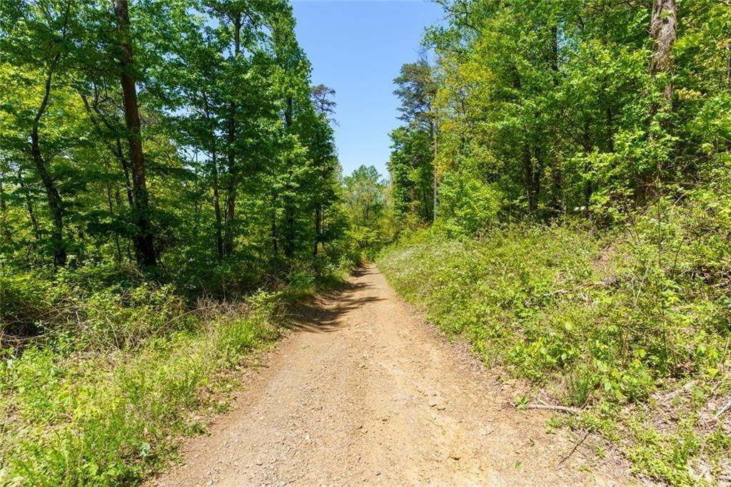 0 Fire Tower Road Property Photo 1