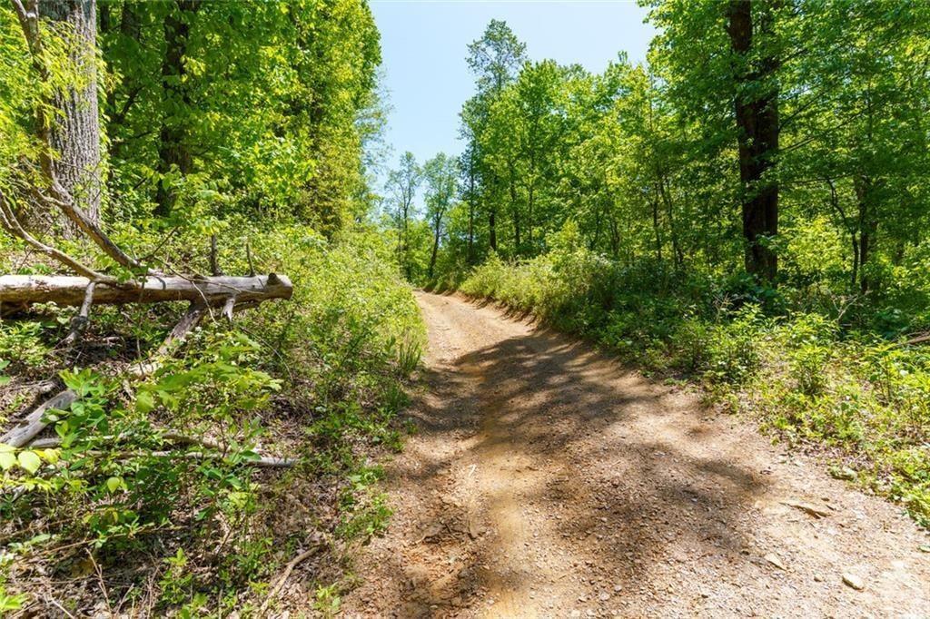 0 Fire Tower Road Property Photo 2