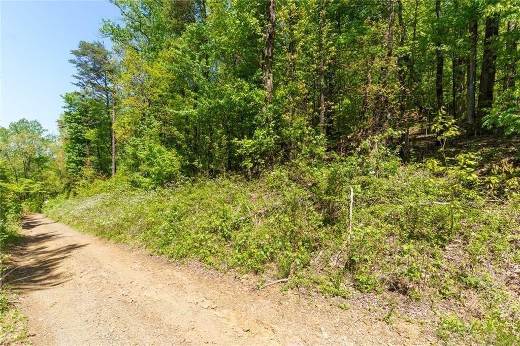 0 Fire Tower Road Property Photo 3