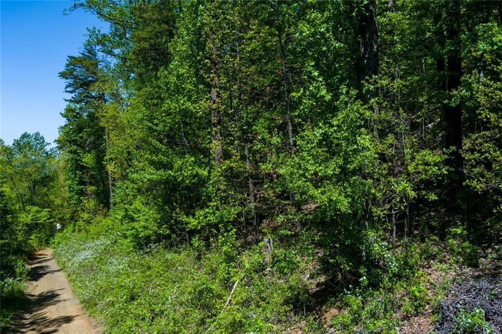 0 Fire Tower Road Property Photo 4