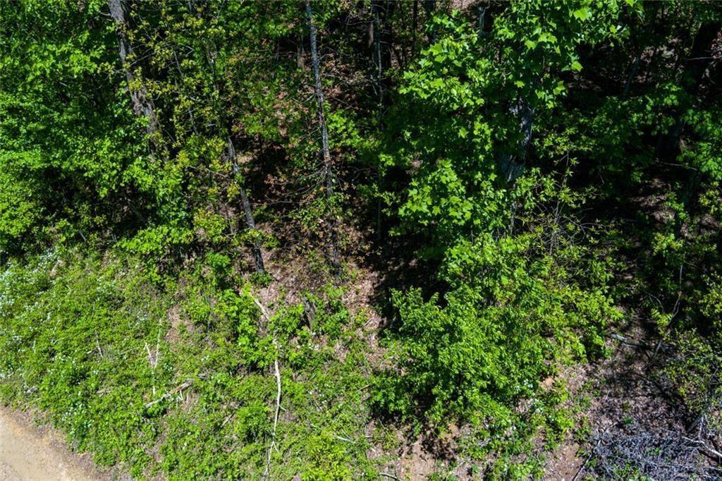 0 Fire Tower Road Property Photo 5