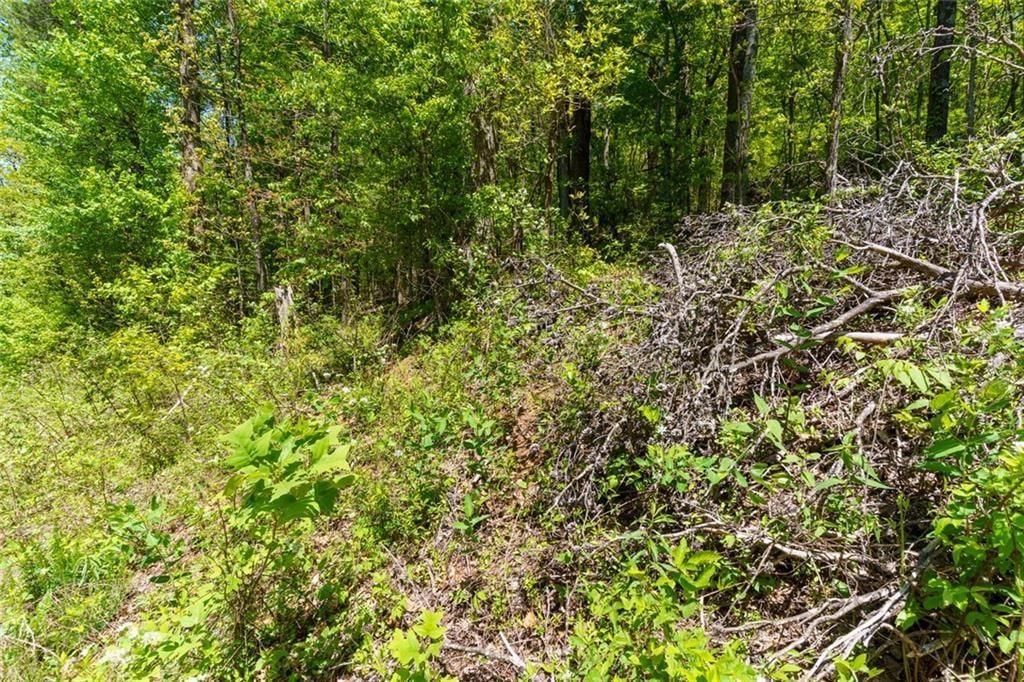 0 Fire Tower Road Property Photo 6