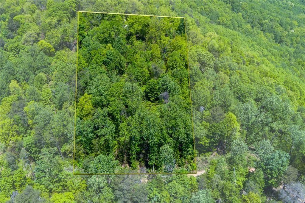0 Fire Tower Road Property Photo 8