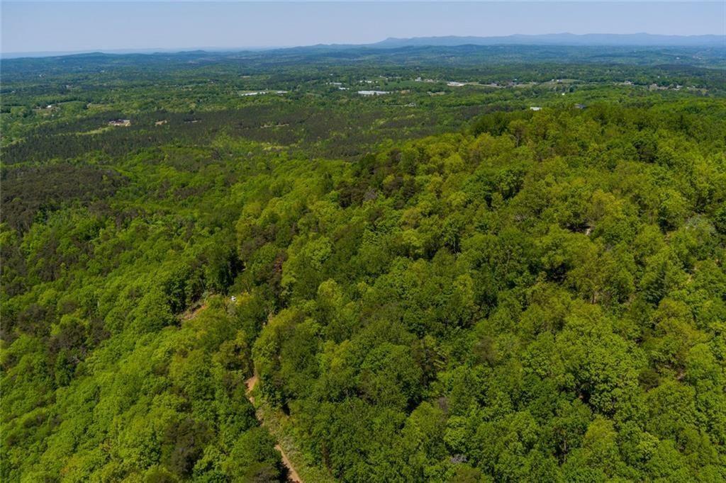 0 Fire Tower Road Property Photo 10
