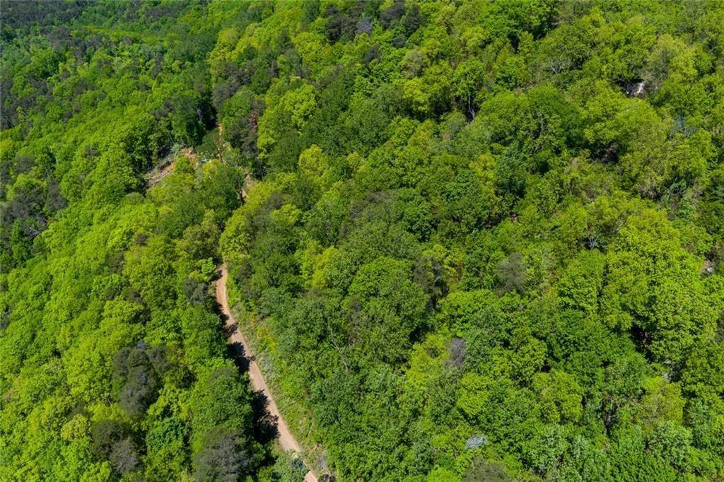 0 Fire Tower Road Property Photo 11