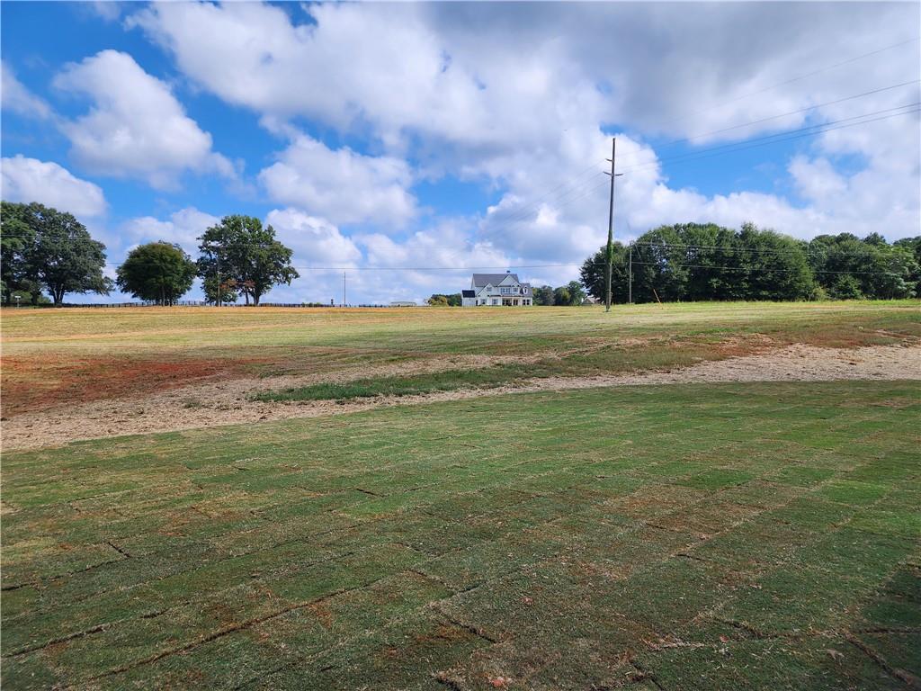 167 Ivey Trace Court Property Photo 24