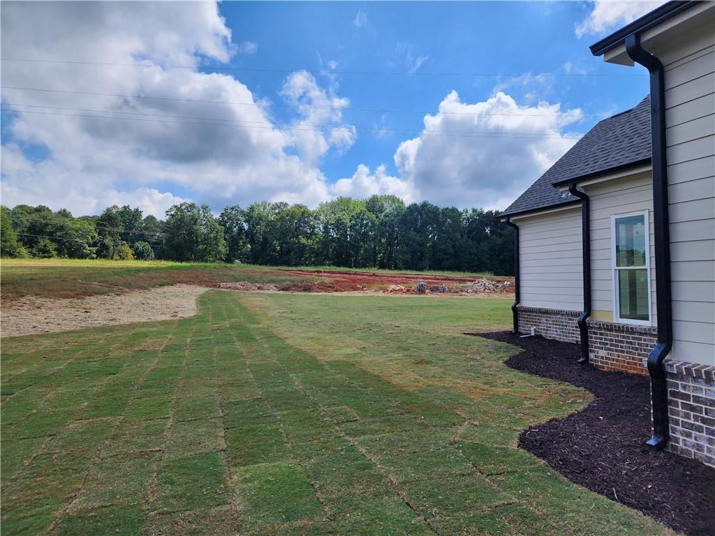 167 Ivey Trace Court Property Photo 25