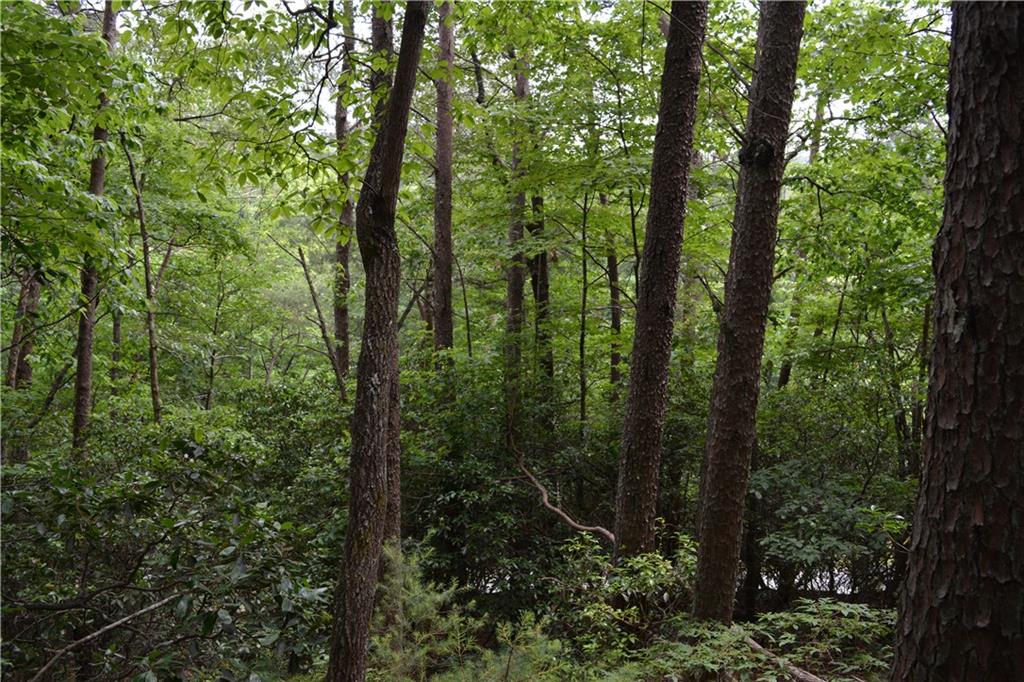 20 Goldmine Drive Property Photo 6
