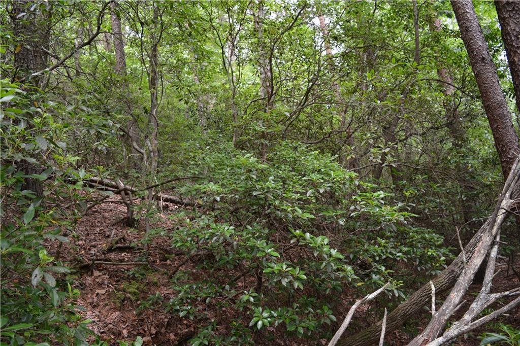 20 Goldmine Drive Property Photo 7