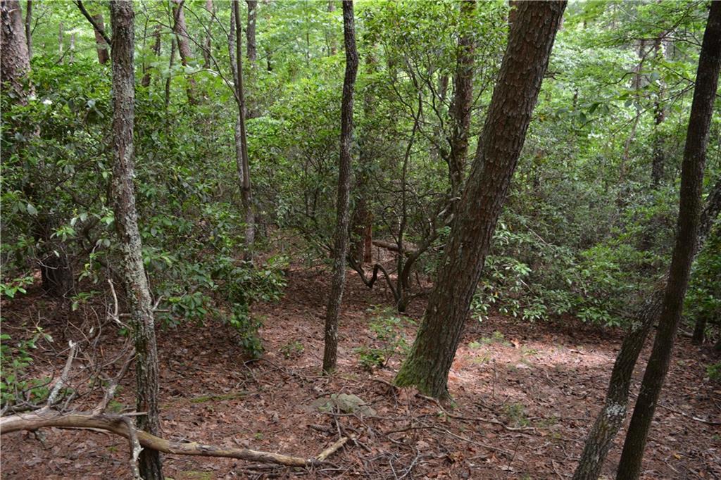 20 Goldmine Drive Property Photo 8