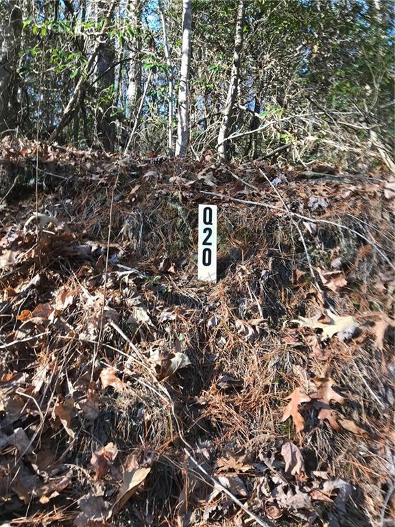 20 Goldmine Drive Property Photo 20