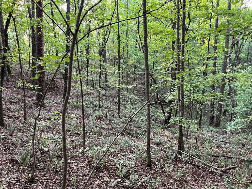 1720 Rebekah Ridge Road Property Photo 1