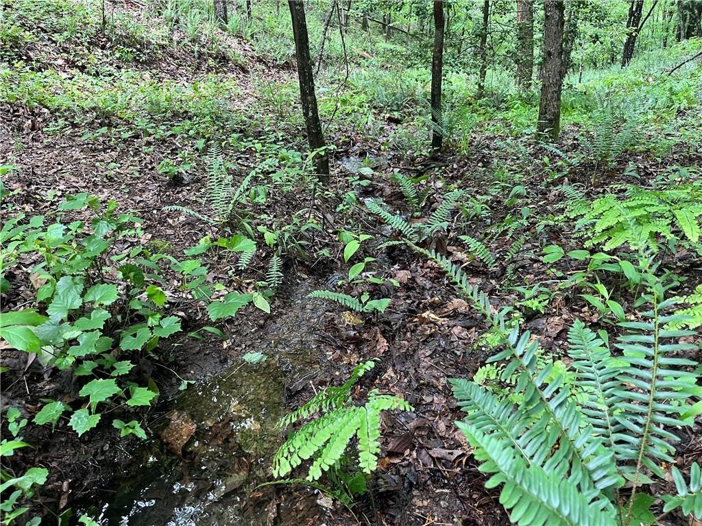 1720 Rebekah Ridge Road Property Photo 2