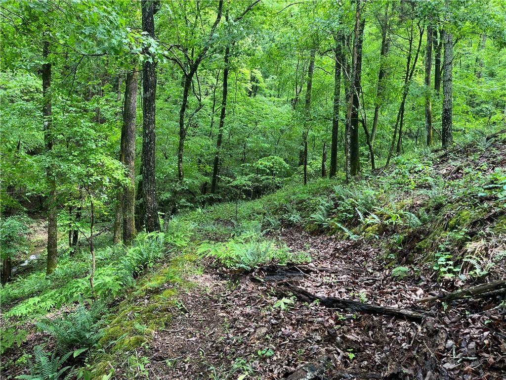 1720 Rebekah Ridge Road Property Photo 4