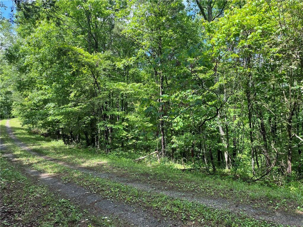 1720 Rebekah Ridge Road Property Photo 5