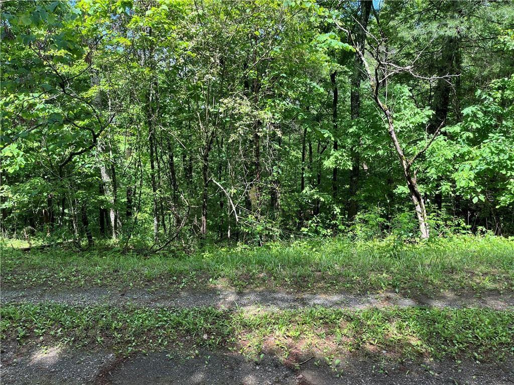 1720 Rebekah Ridge Road Property Photo 6