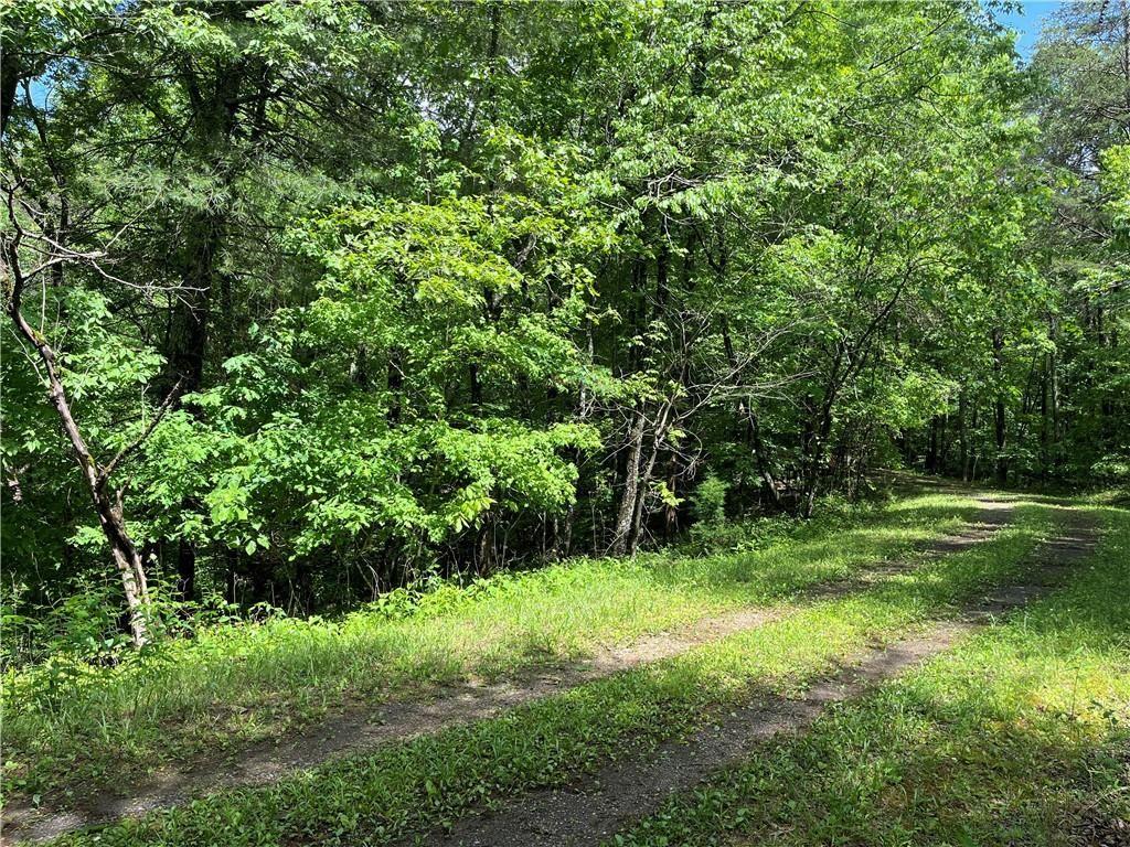 1720 Rebekah Ridge Road Property Photo 7