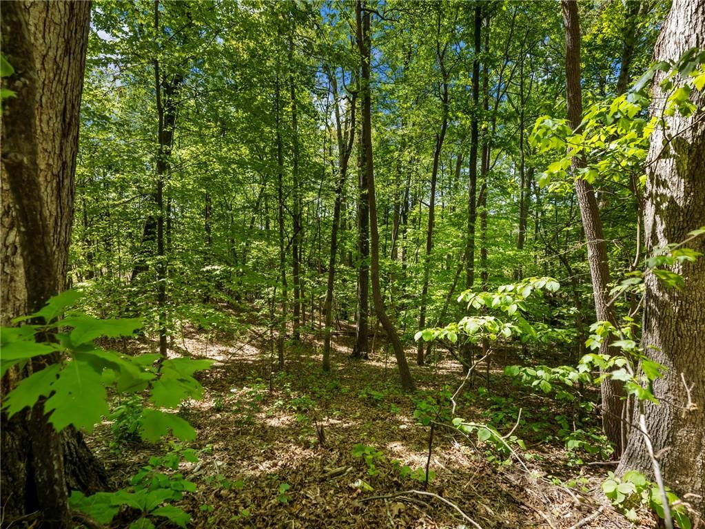 3022 Waterford Drive Property Photo 21