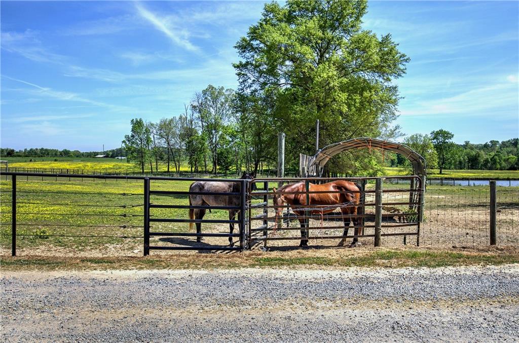 486 County Line Road Property Photo 26