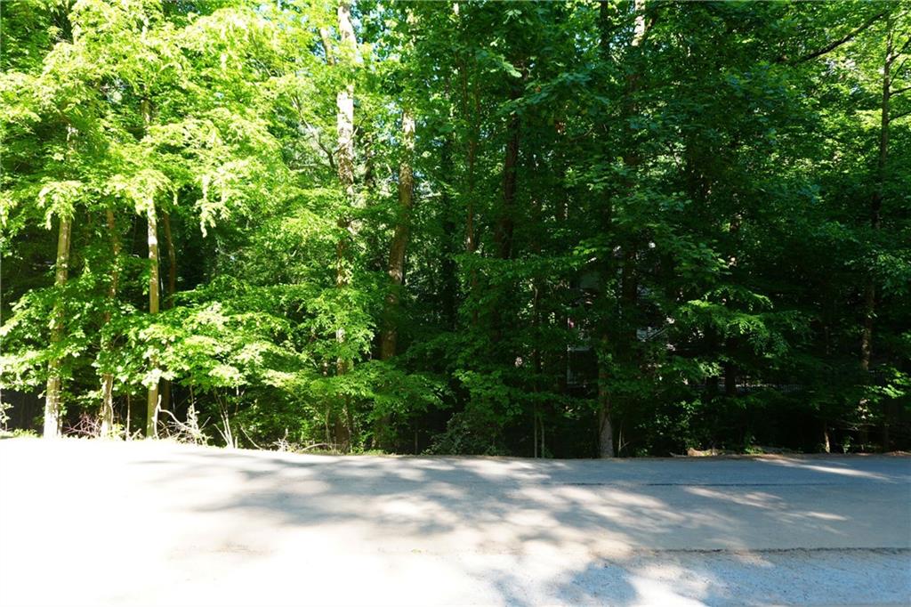 0 Lakeside Trail Property Photo 2