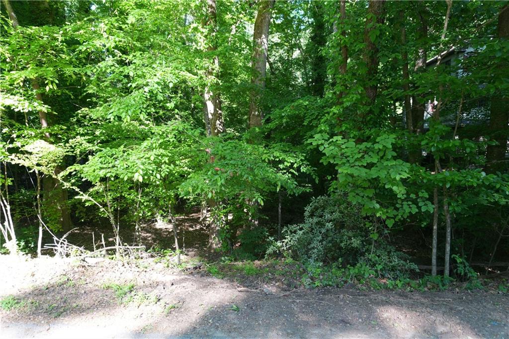 0 Lakeside Trail Property Photo 3