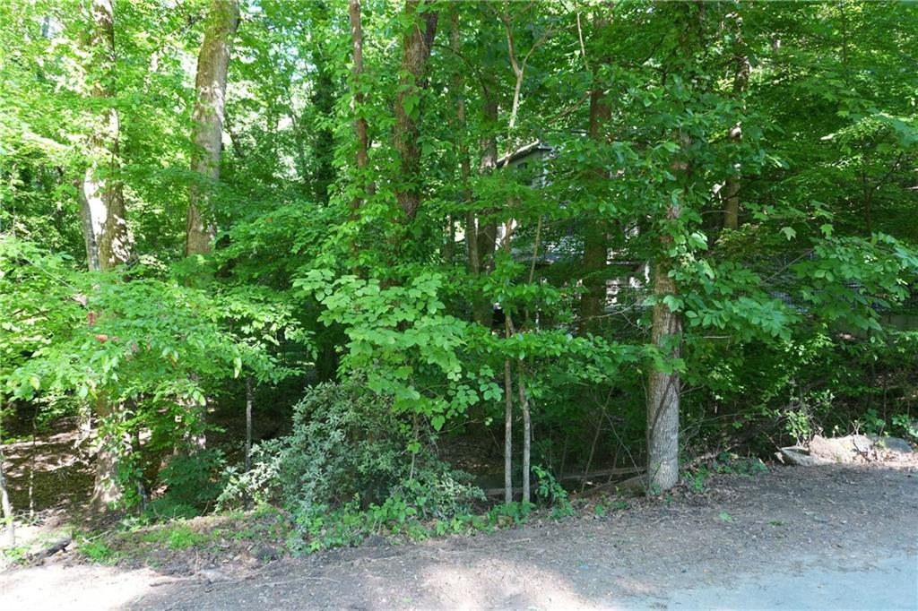 0 Lakeside Trail Property Photo 4
